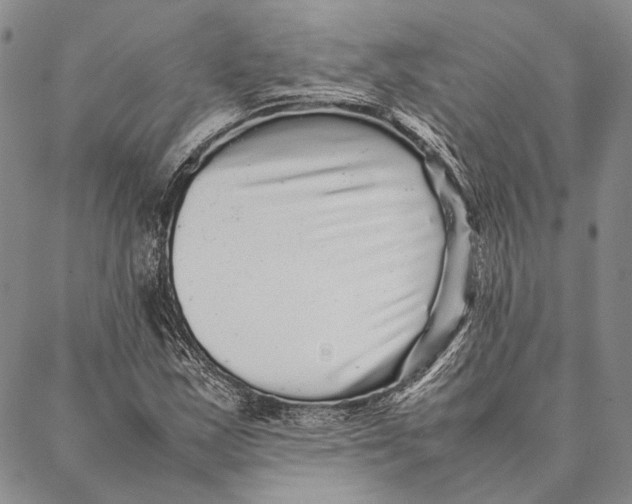 X0000087061163200705091153