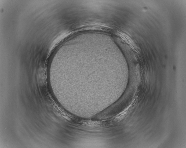 X0000087061164200705091153