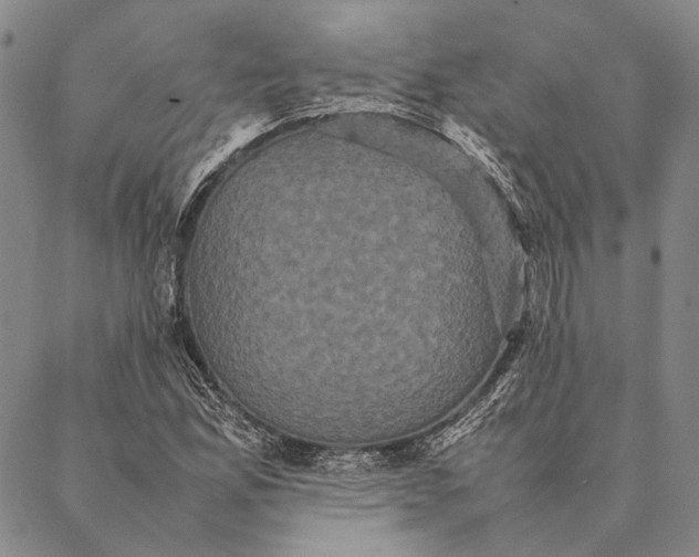 X0000087061165200705091153