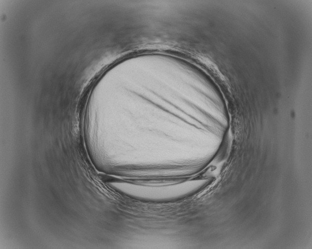 X0000087061167200705091153