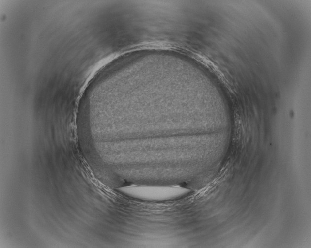 X0000087061168200705091153