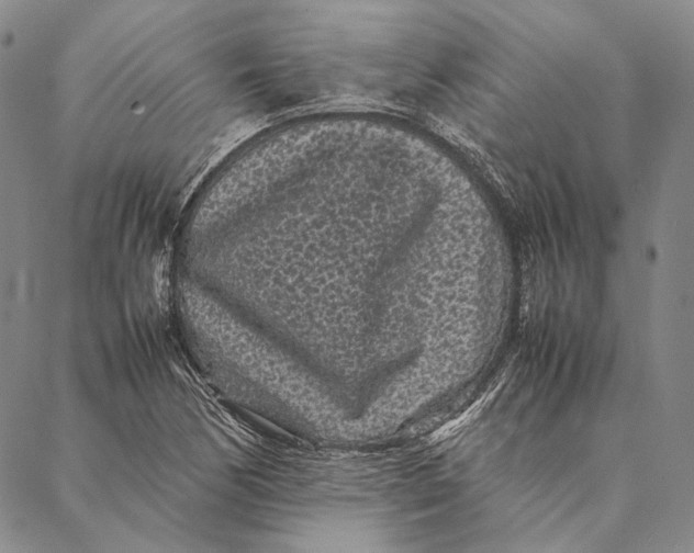 X0000087061170200705091153