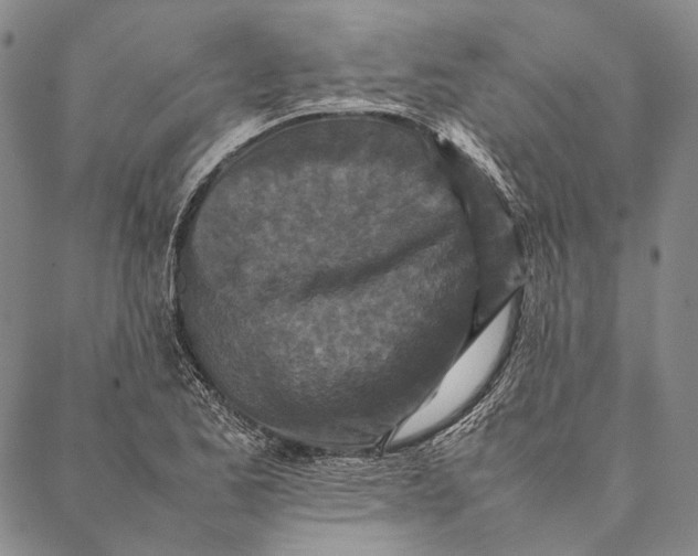 X0000087061173200705091153