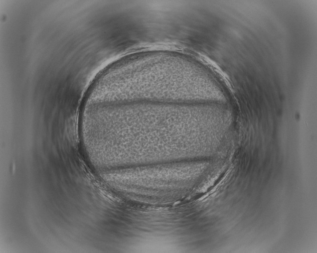 X0000087061174200705091153