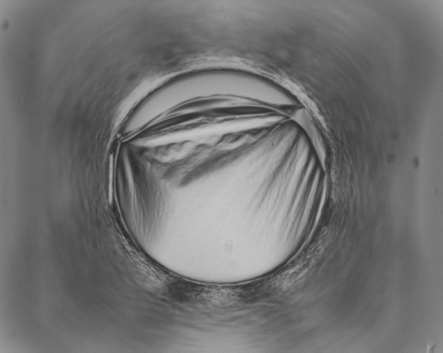 X0000087061175200705091153