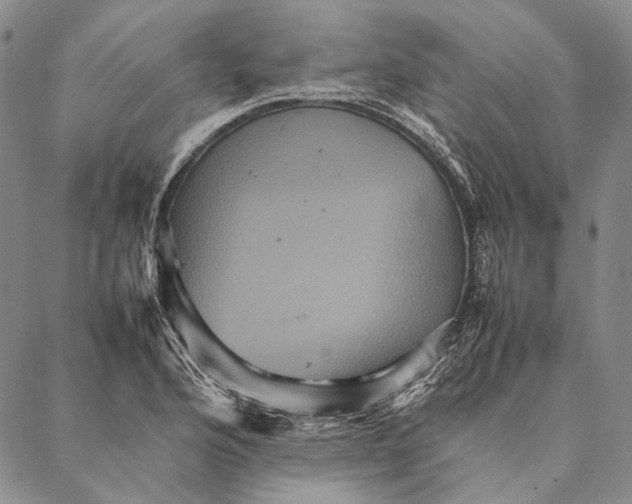 X0000087061176200705091153