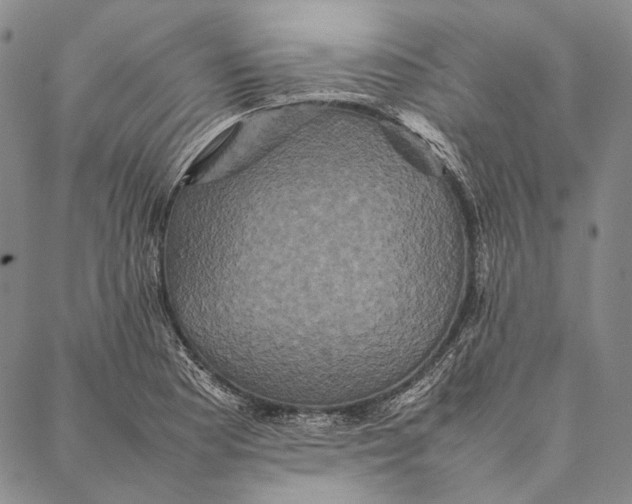 X0000087061177200705091153