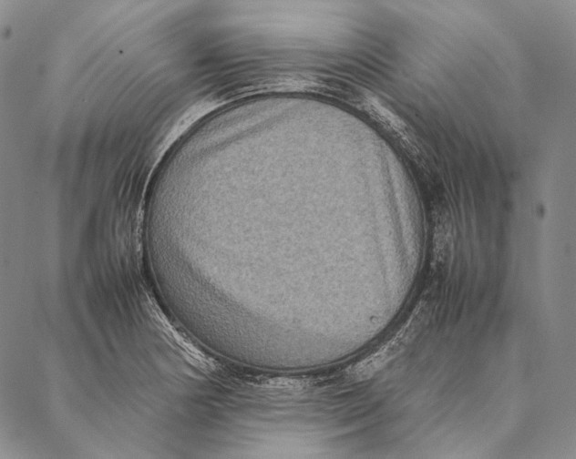 X0000087061178200705091153