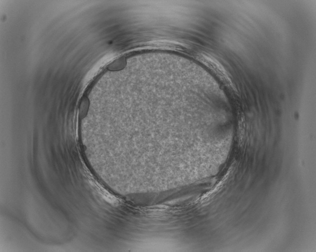 X0000087061180200705091153