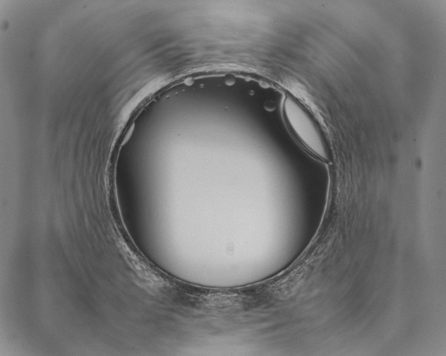 X0000087061181200705091153