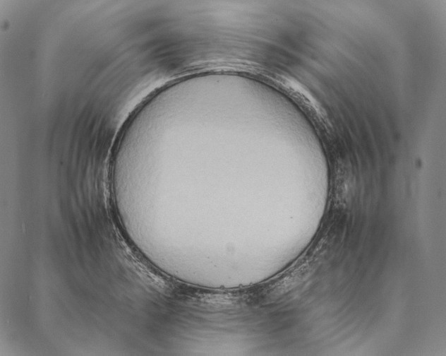 X0000087061182200705091153