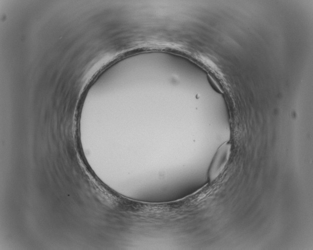 X0000087061183200705091153