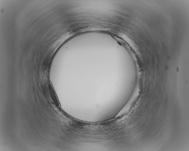 X0000087061185200705091153