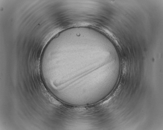 X0000087061186200705091153