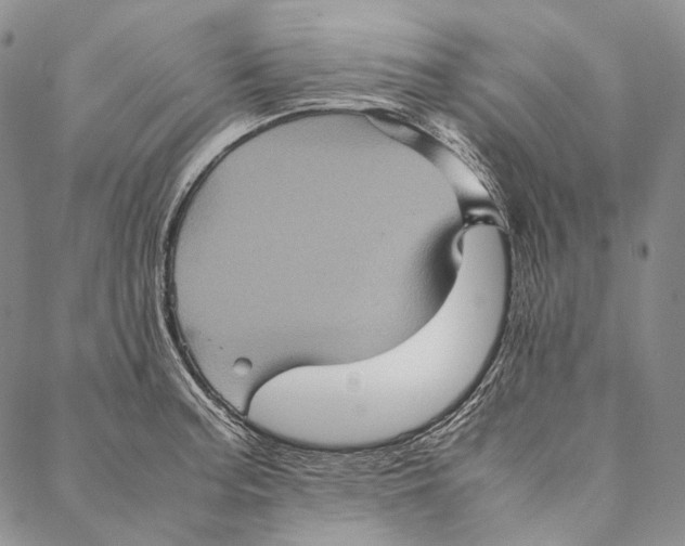 X0000087061187200705091153