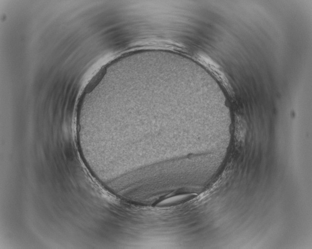 X0000087061188200705091153