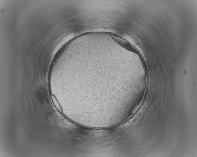 X0000087061189200705091153