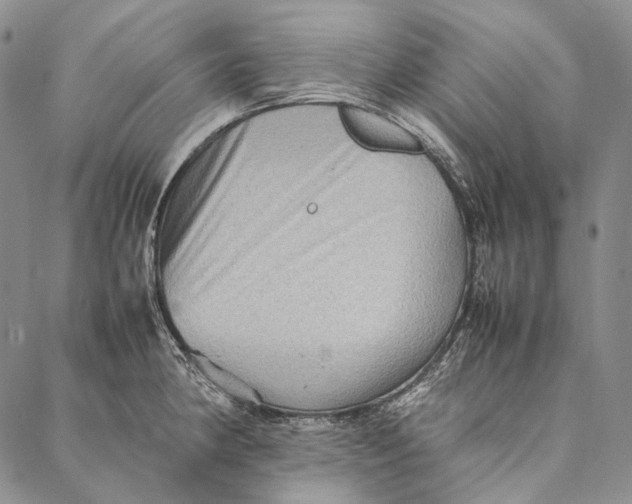 X0000087061190200705091153