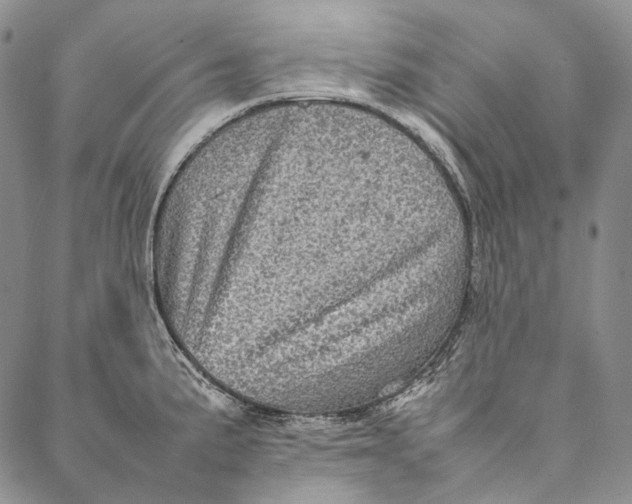 X0000087061191200705091153