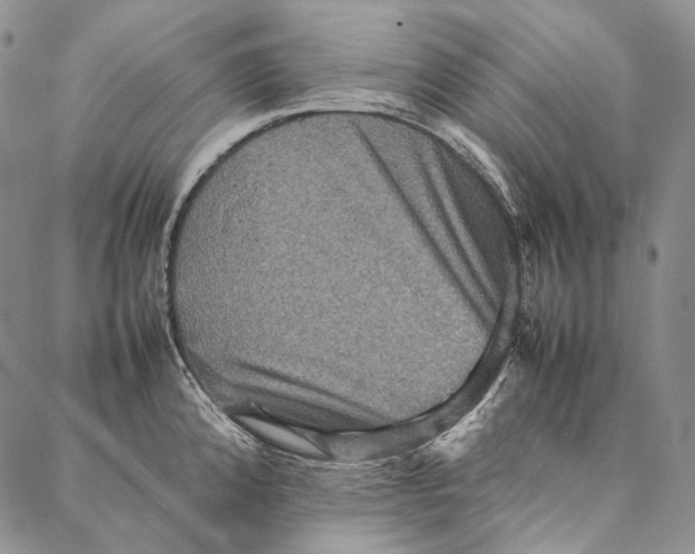 X0000087061192200705091153