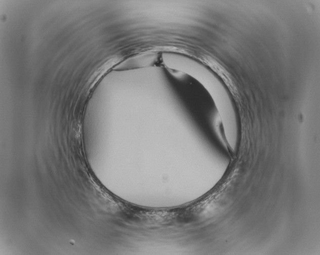 X0000087061193200705091153