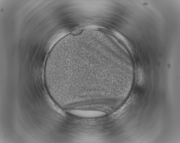 X0000087061194200705091153