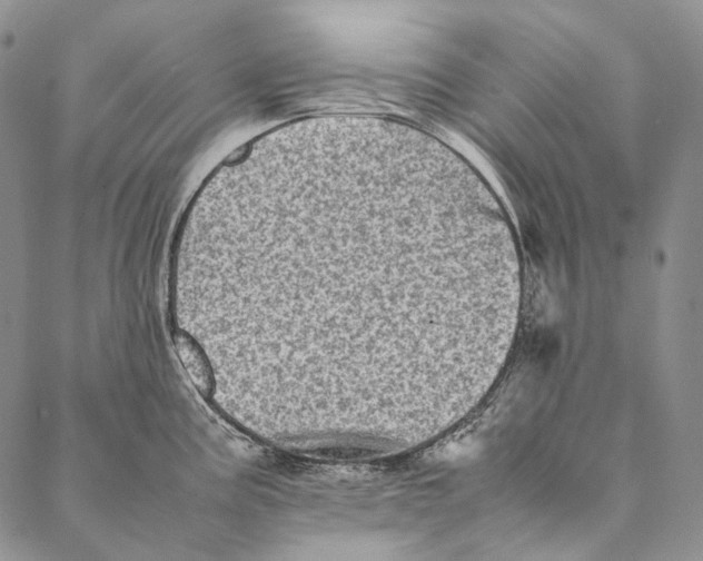 X0000087061195200705091153