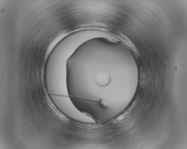 X0000087061196200705091153