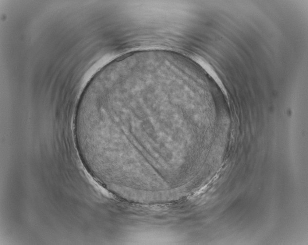 X0000087061197200705091153