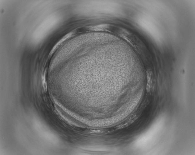 X0000087061198200705091153