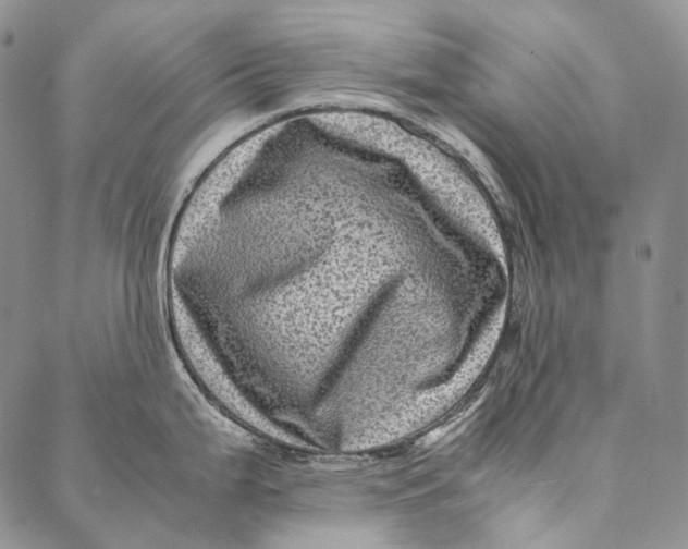 X0000087061199200705091153