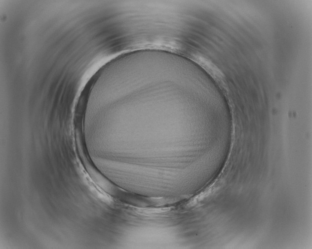 X0000087061200200705091153