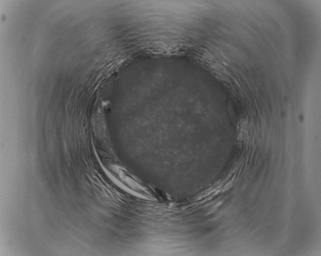 X0000087061202200705091152