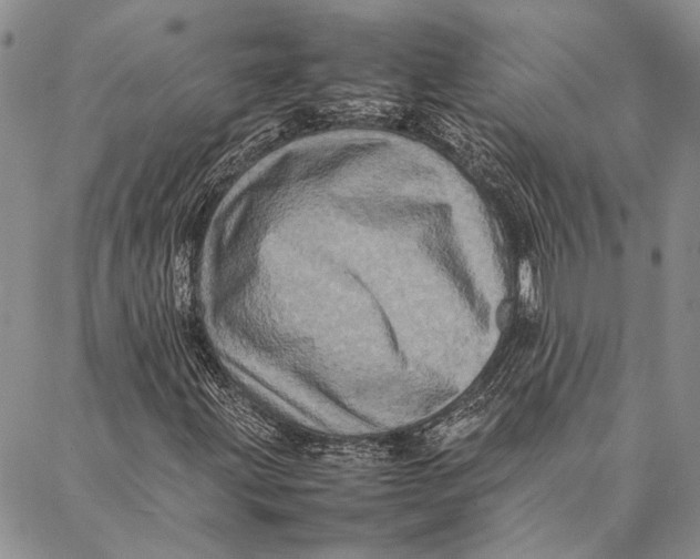 X0000087061203200705091152