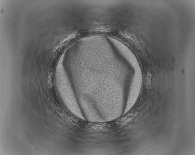 X0000087061205200705091152