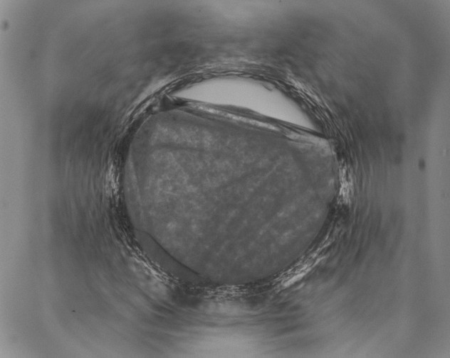 X0000087061206200705091152