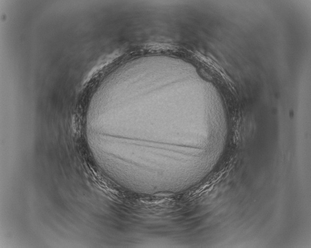 X0000087061207200705091152