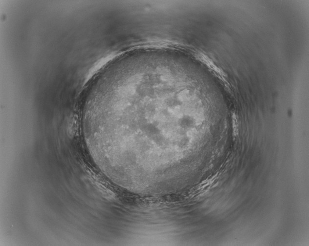 X0000087061208200705091152