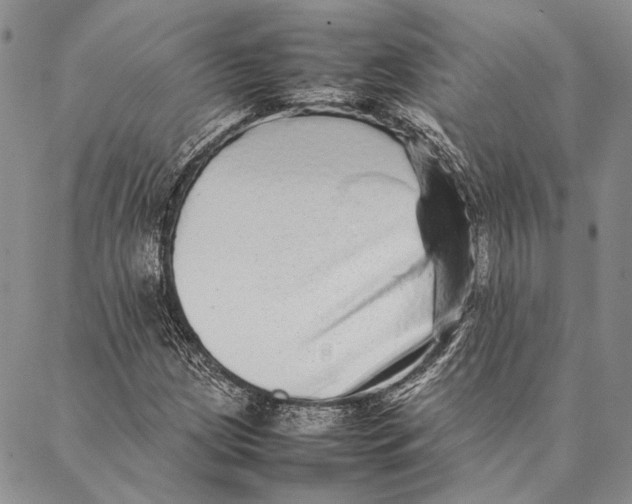 X0000087061209200705091152