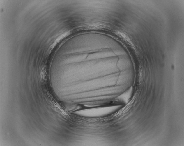 X0000087061210200705091152