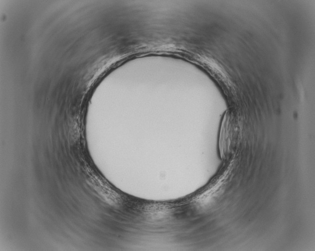 X0000087061212200705091152