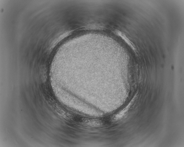 X0000087061213200705091152