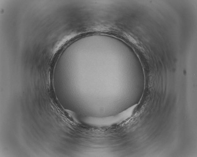 X0000087061214200705091152