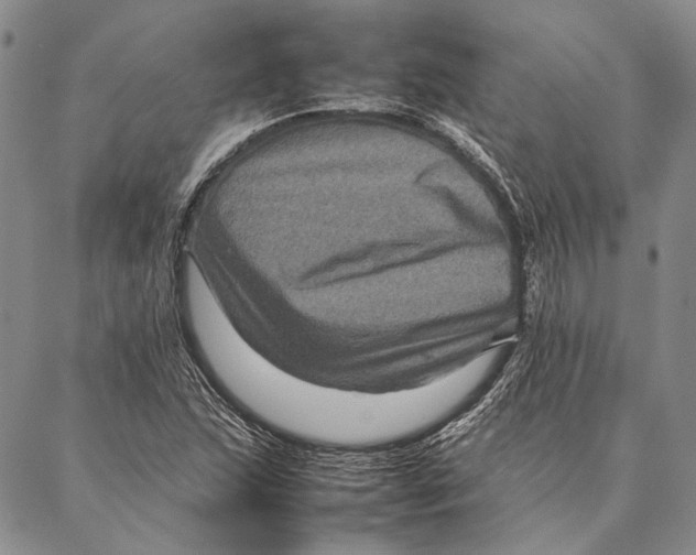 X0000087061215200705091152