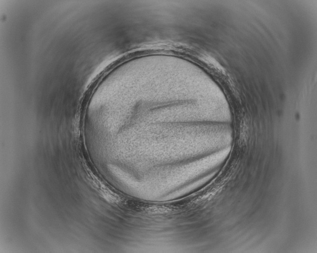 X0000087061216200705091152