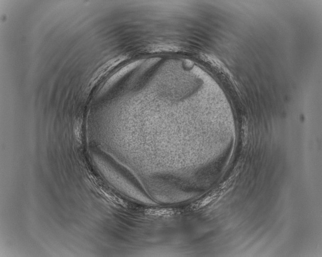 X0000087061217200705091152