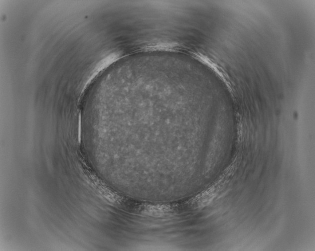 X0000087061219200705091152