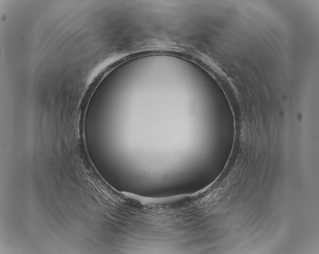 X0000087061222200705091152