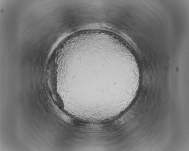 X0000087061224200705091152