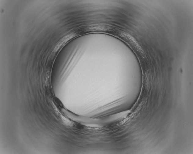 X0000087061225200705091152